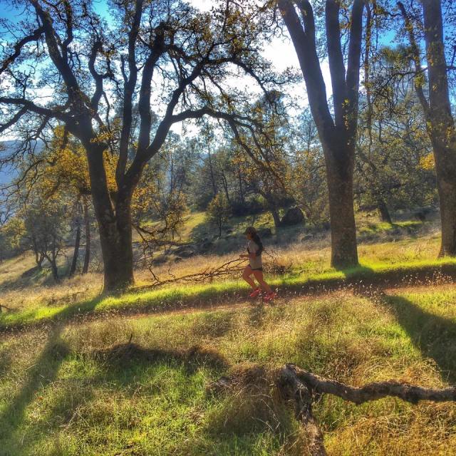 15355618_10210253185979637_8508462793873555636_n