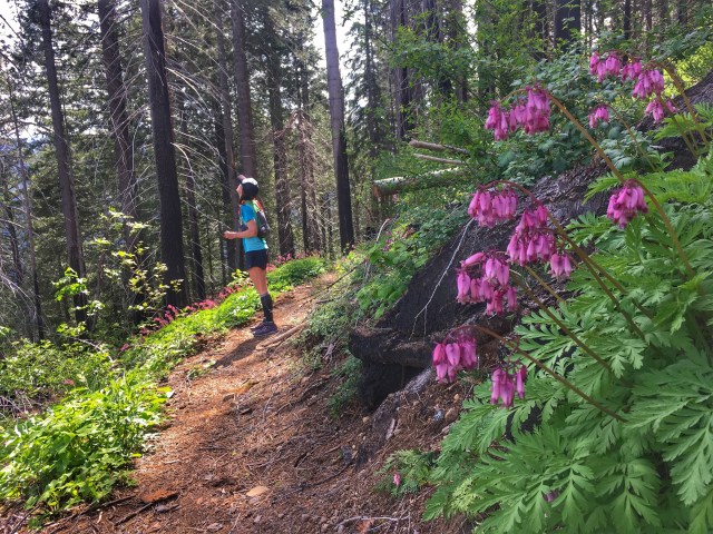 Photo 5-19-18, 10 06 28 AM