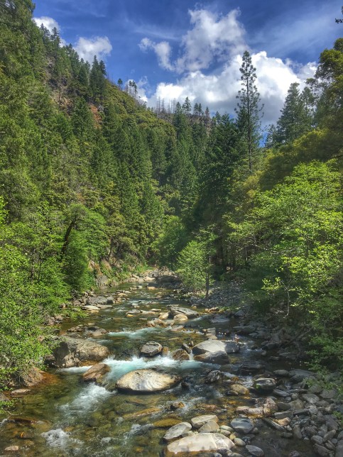 Photo 5-19-18, 11 06 48 AM