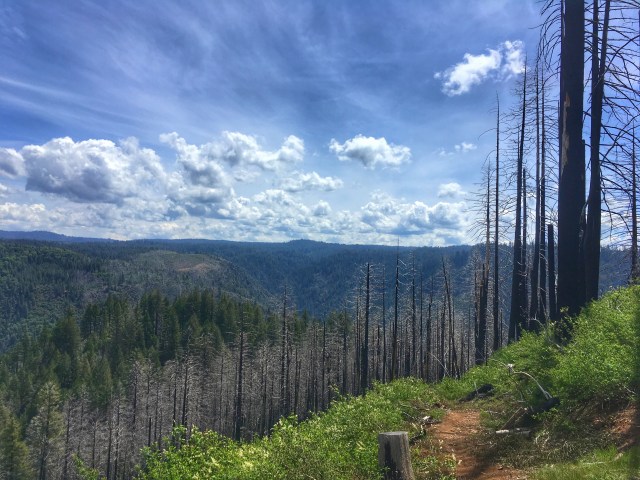 Photo 5-19-18, 11 41 58 AM