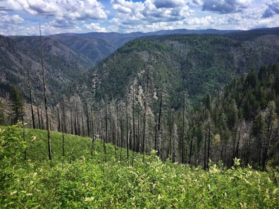 Photo 5-19-18, 11 42 52 AM