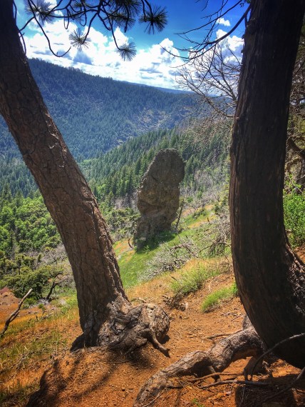 Photo 5-19-18, 11 45 44 AM