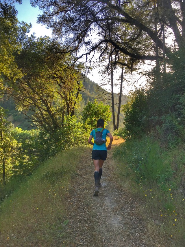 Photo 5-19-18, 6 51 53 PM