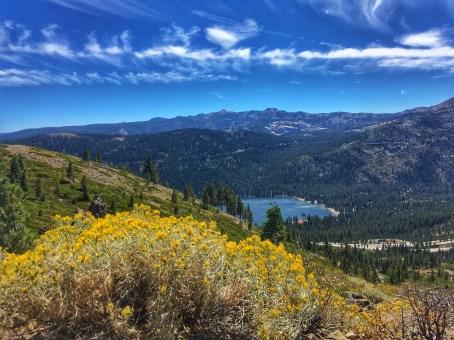 Photo 9-8-18, 1 59 42 PM