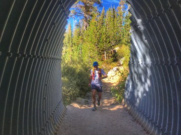 Photo 9-8-18, 3 50 16 PM