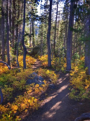 Photo 9-8-18, 4 45 45 PM