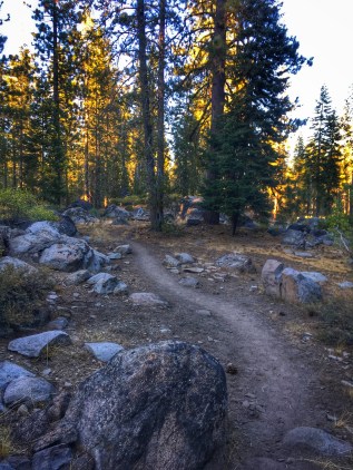 Photo 9-8-18, 6 36 55 PM