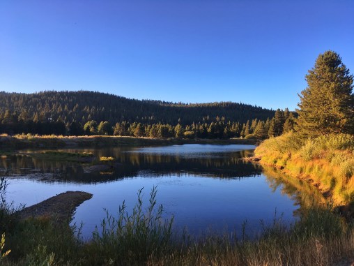 Photo 9-8-18, 6 48 33 PM