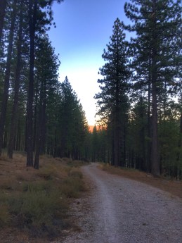 Photo 9-8-18, 7 09 11 PM